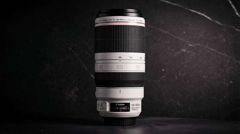 Canon 100-400mm f/4.5-5.6 L IS USM